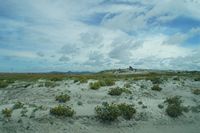 
DSC00262